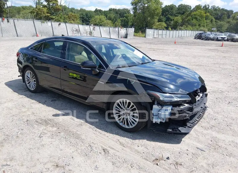 2019 Toyota AVALON photo