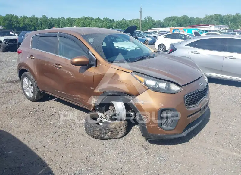 2019 KIA Sportage photo