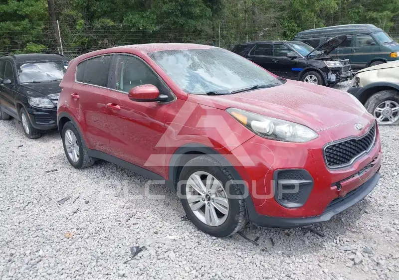 2019 KIA Sportage фото