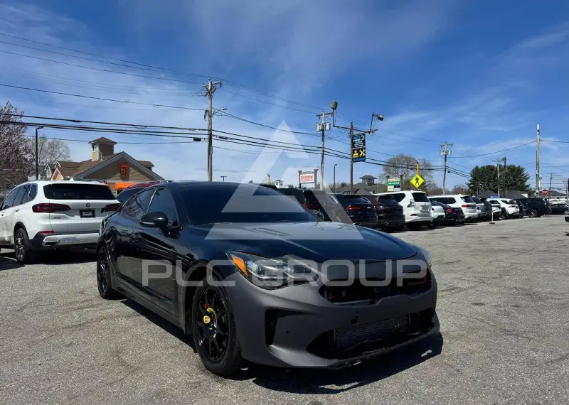 2019 KIA Stinger фото