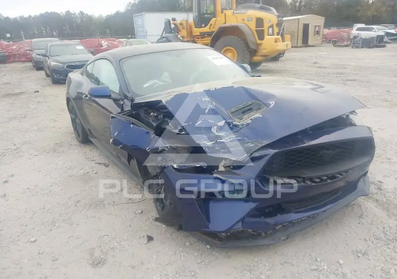 2019 Ford MUSTANG фото