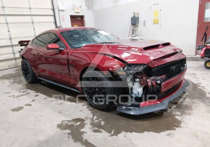 2019 Ford MUSTANG фото