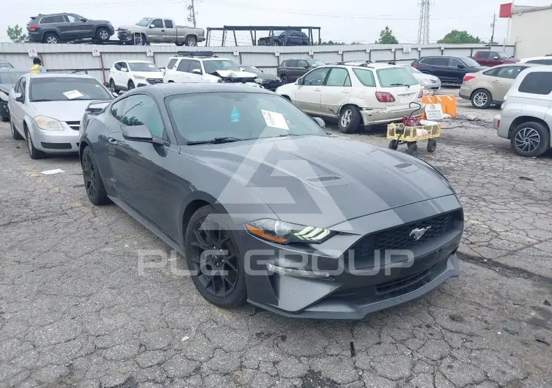 2019 Ford MUSTANG фото