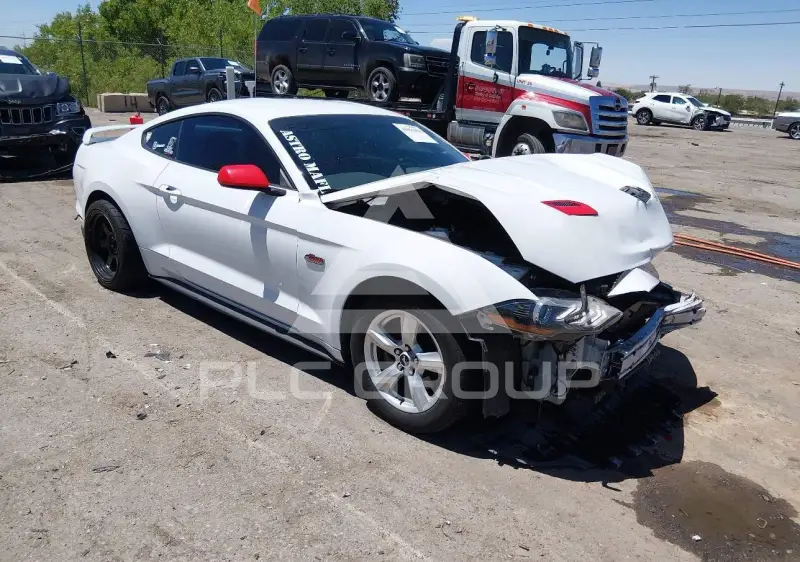 2019 Ford MUSTANG photo