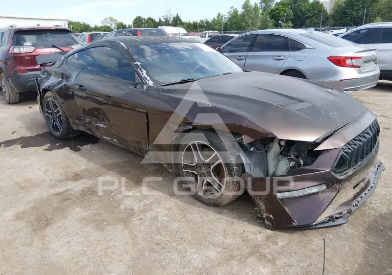 2019 Ford MUSTANG фото