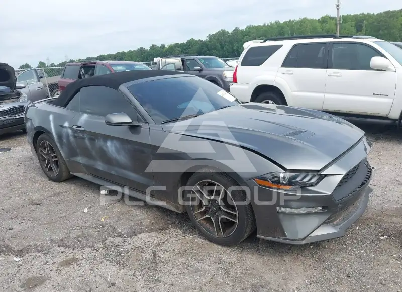 2019 Ford MUSTANG фото
