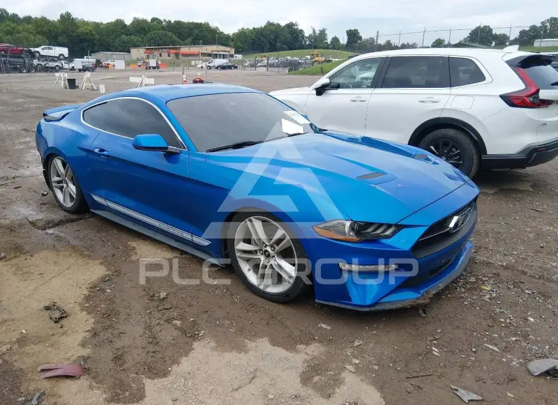 2019 Ford MUSTANG фото