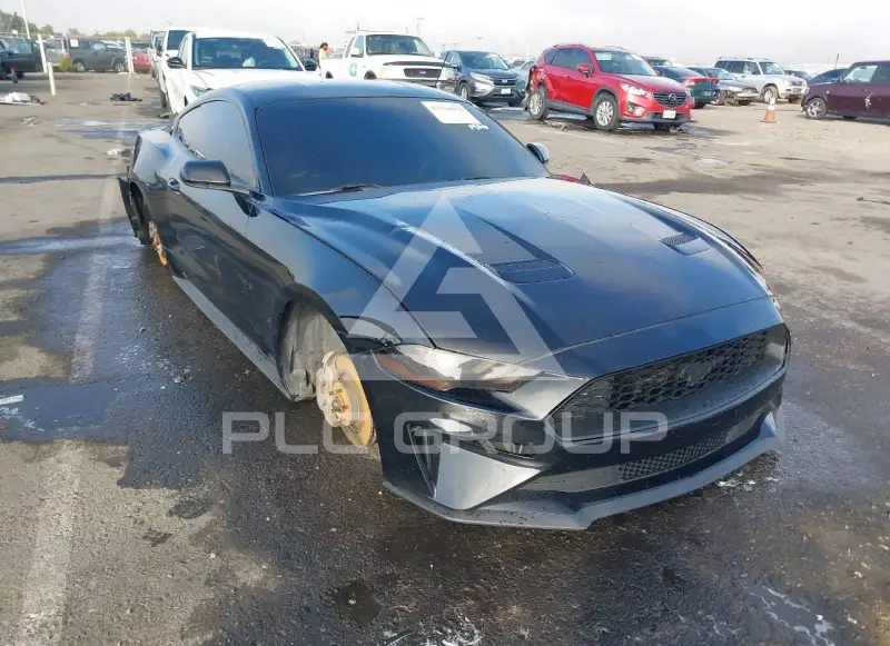 2019 Ford MUSTANG фото