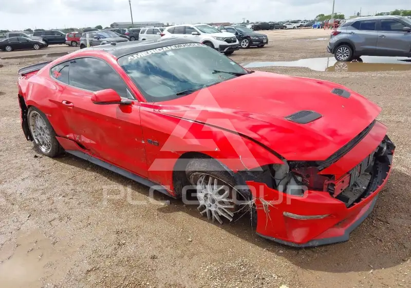 2019 Ford MUSTANG photo