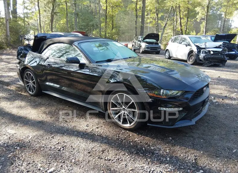 2019 Ford MUSTANG фото