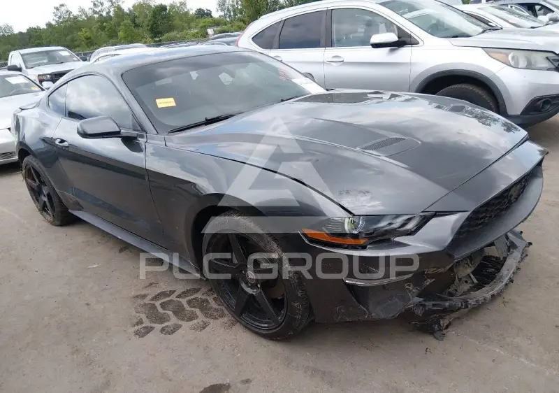 2019 Ford MUSTANG фото
