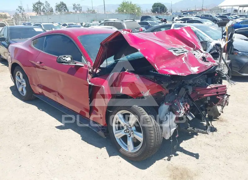 2019 Ford MUSTANG фото
