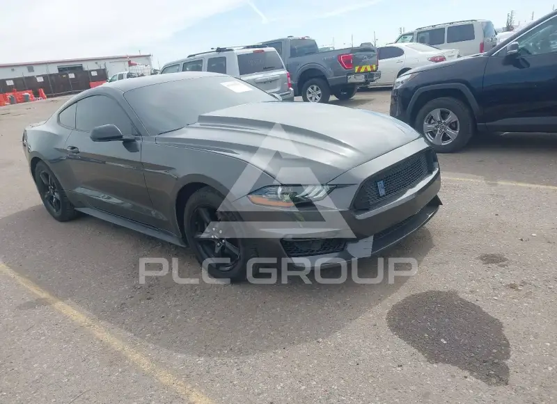 2019 Ford MUSTANG фото