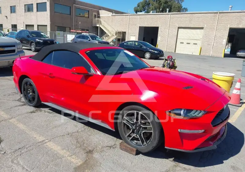 2019 Ford MUSTANG photo