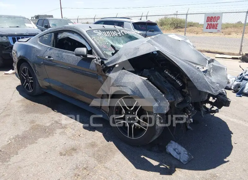 2019 Ford MUSTANG photo