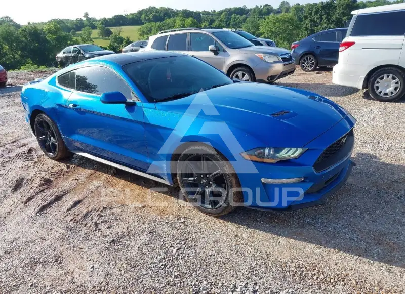 2019 Ford MUSTANG фото