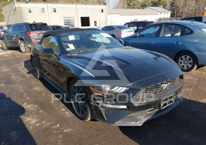 2019 Ford MUSTANG фото