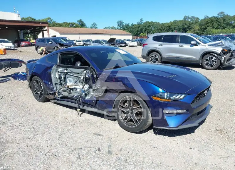2019 Ford MUSTANG photo