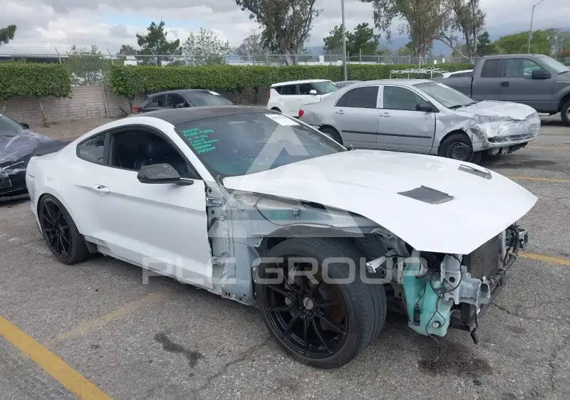 2019 Ford MUSTANG photo