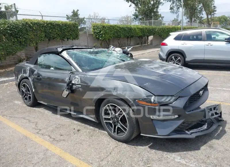2019 Ford MUSTANG фото