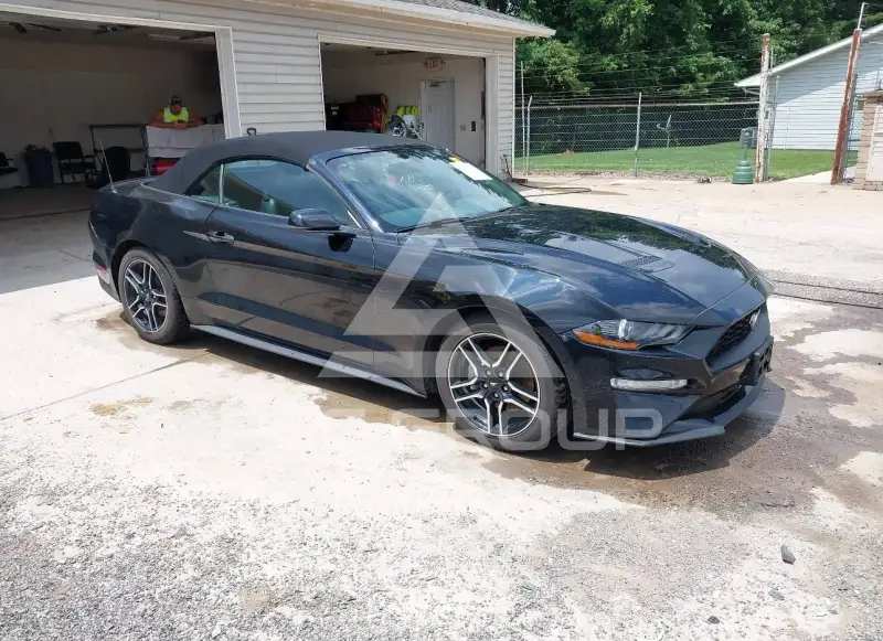 2019 Ford MUSTANG photo
