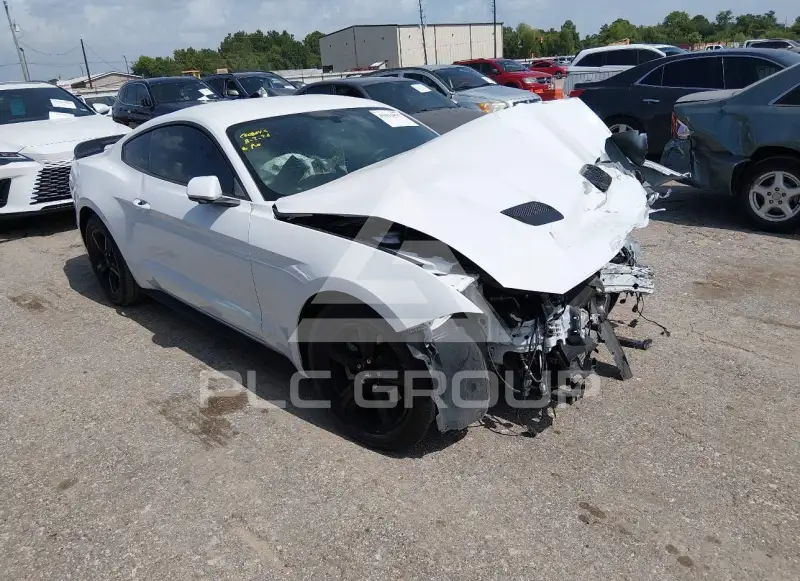 2019 Ford MUSTANG фото