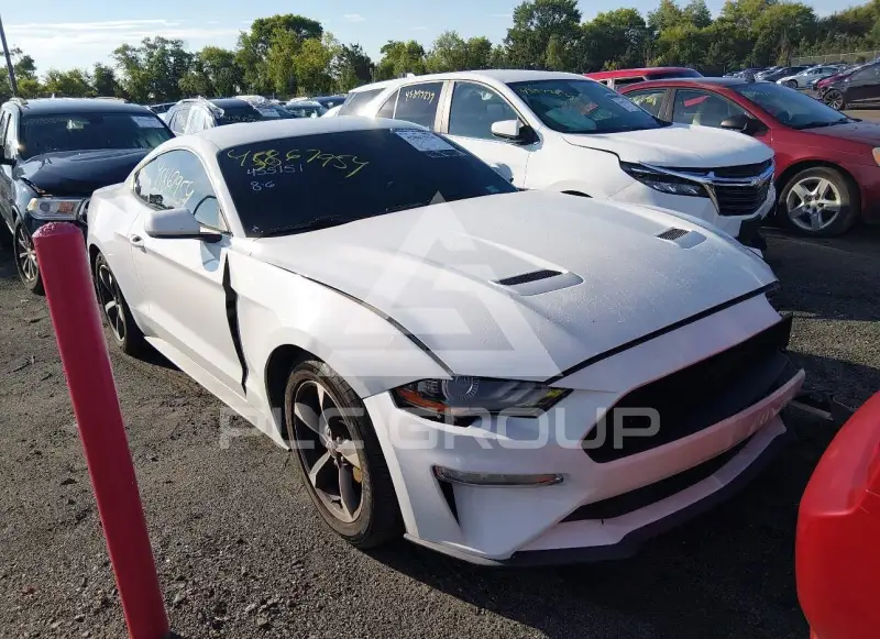 2019 Ford MUSTANG photo