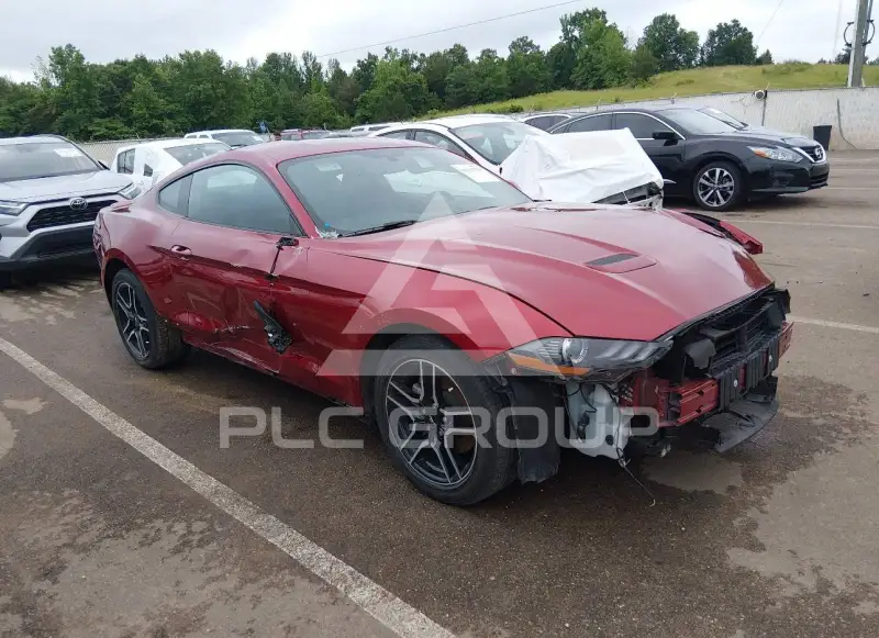 2019 Ford MUSTANG фото