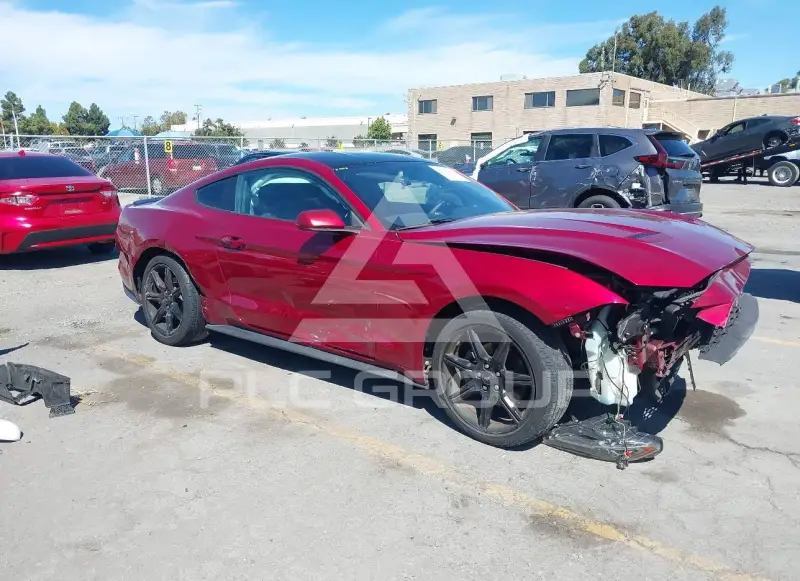 2019 Ford MUSTANG фото