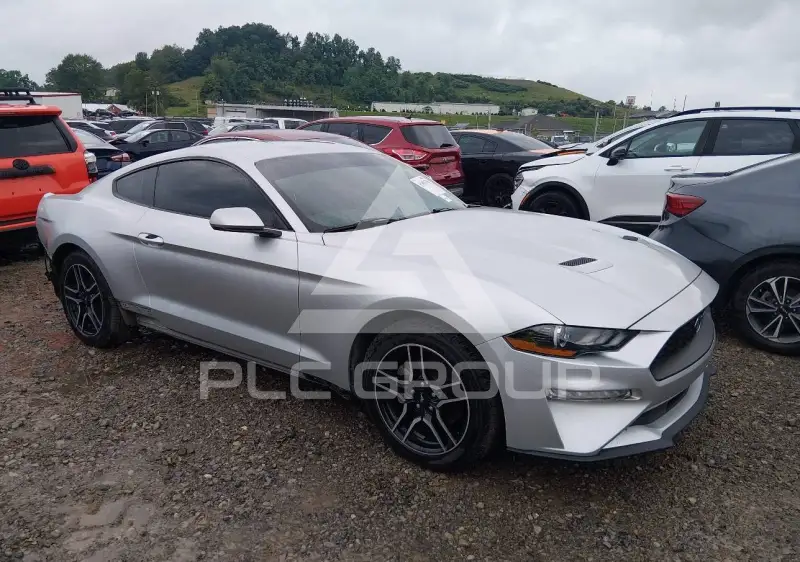 2019 Ford MUSTANG фото