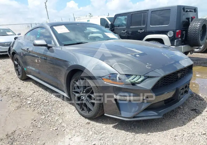 2019 Ford MUSTANG фото