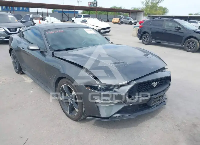 2019 Ford MUSTANG photo