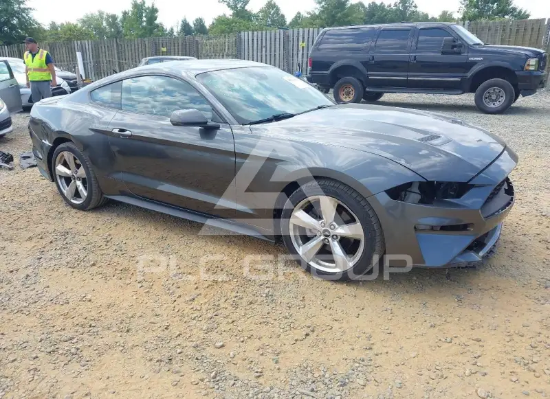 2019 Ford MUSTANG фото