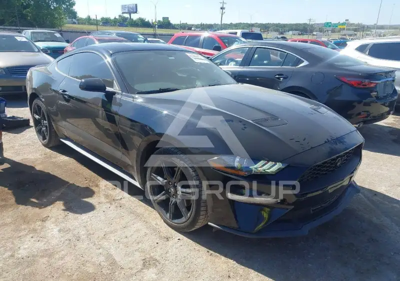 2019 Ford MUSTANG фото