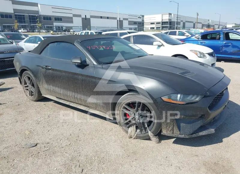 2019 Ford MUSTANG фото
