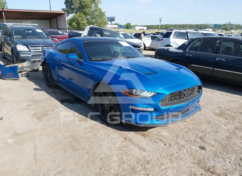 2019 Ford MUSTANG photo