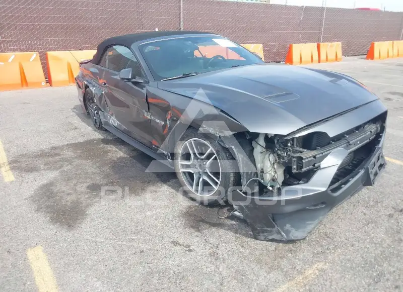 2019 Ford MUSTANG фото