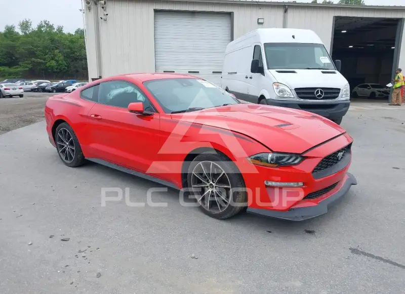 2019 Ford MUSTANG фото