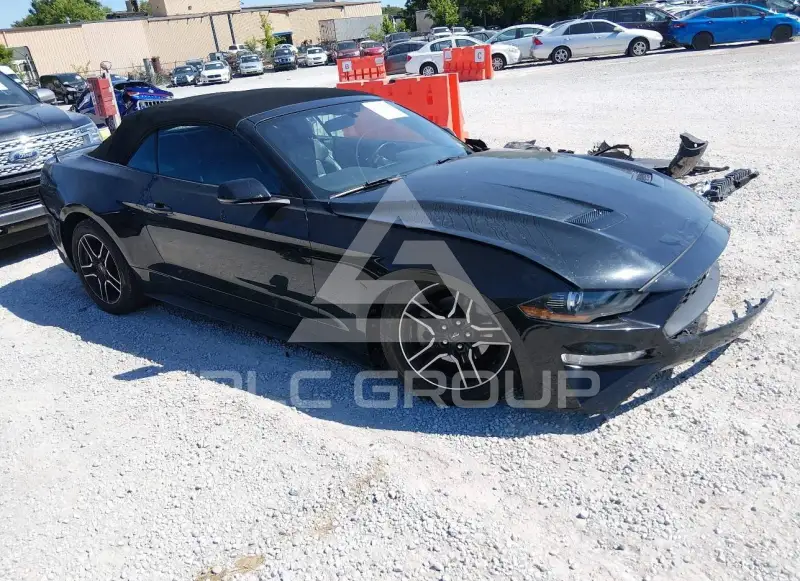 2019 Ford MUSTANG фото