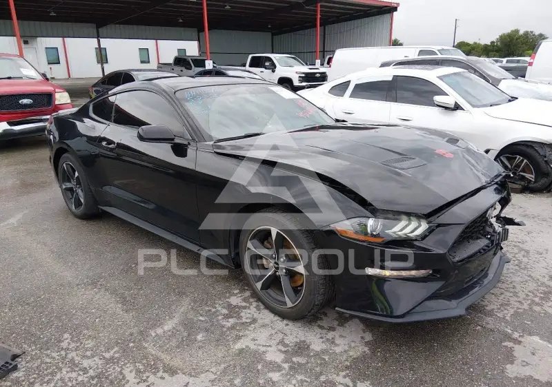 2019 Ford MUSTANG photo