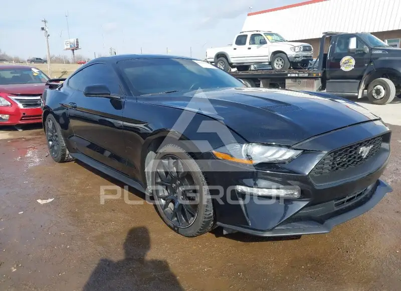 2019 Ford MUSTANG фото