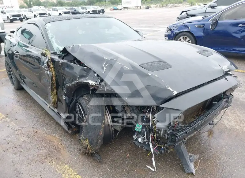 2019 Ford MUSTANG фото