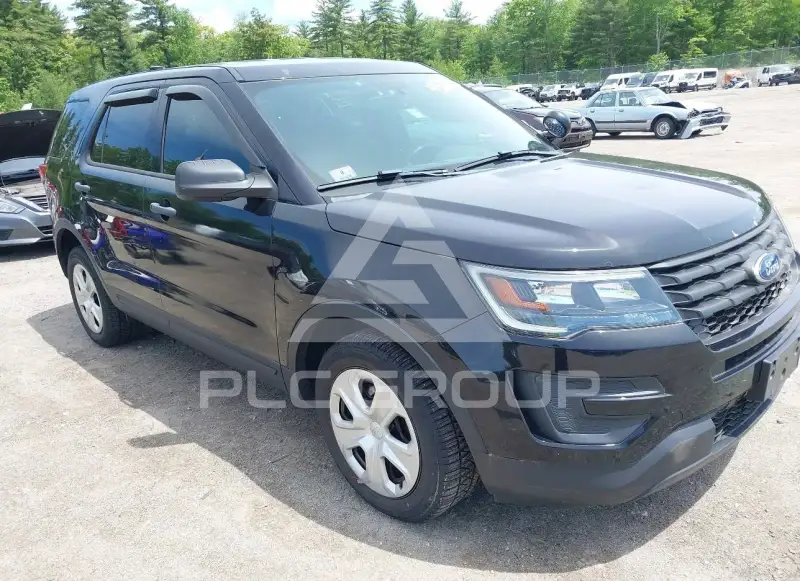 2019 Ford POLICE photo