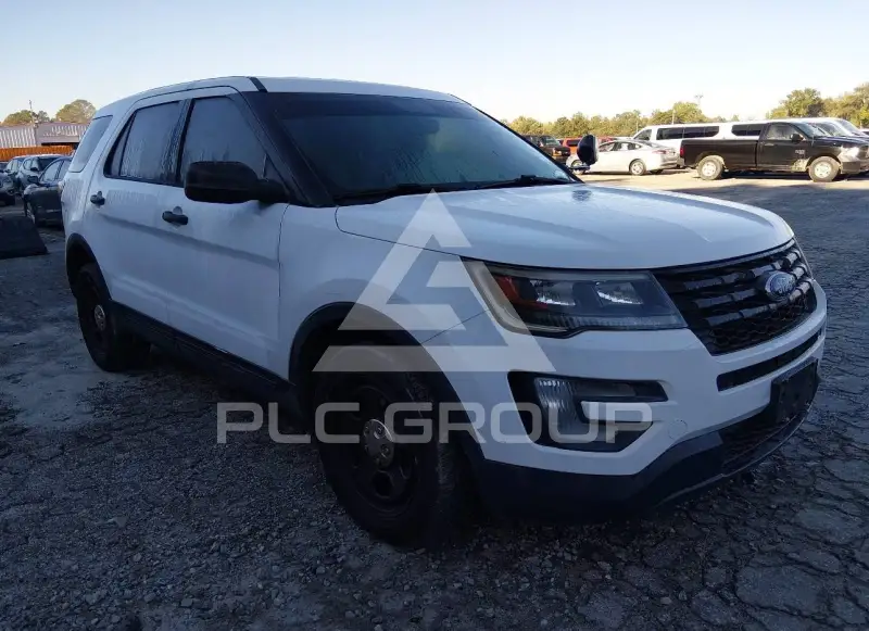 2019 Ford POLICE photo