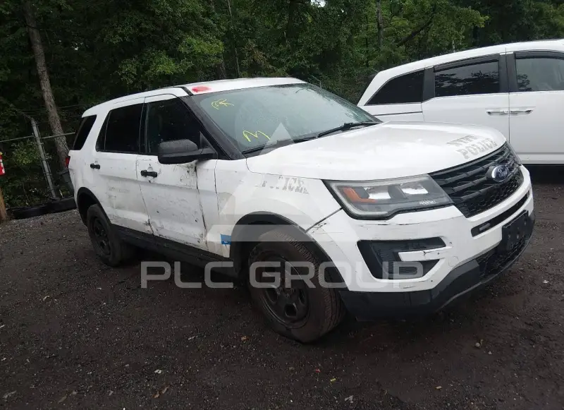 2019 Ford POLICE фото