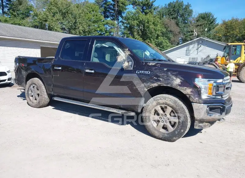 2019 Ford F-150 photo