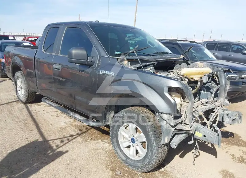 2019 Ford F-150 фото