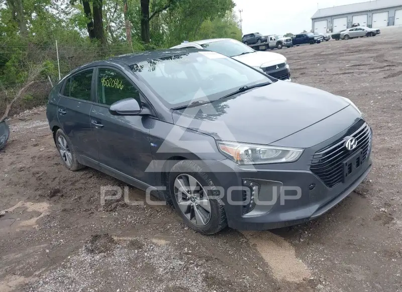 2019 Hyundai Ioniq фото