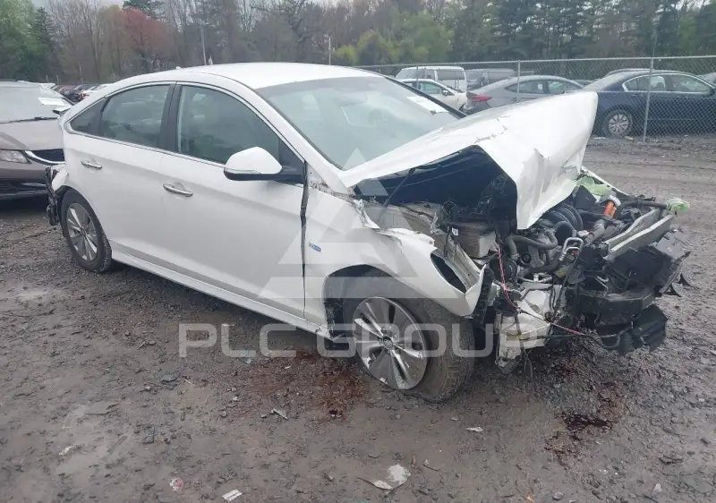 2019 Hyundai Sonata photo