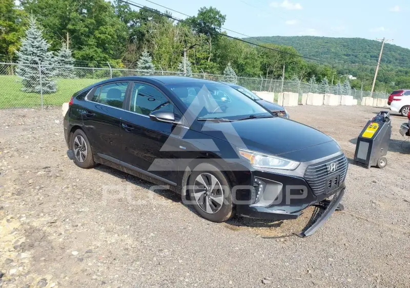 2019 Hyundai Ioniq фото